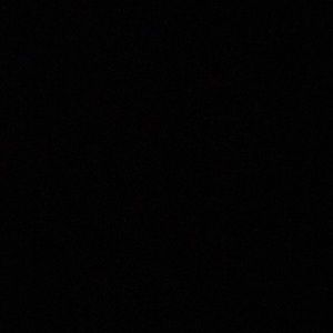 Meet your Posher, Precious